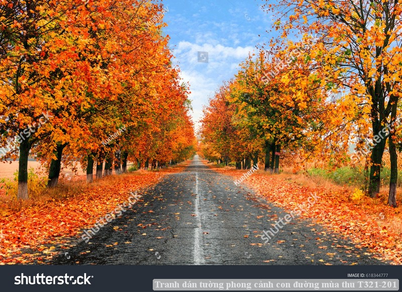 Tranh dán tường phong cảnh con đường mùa thu T321-201